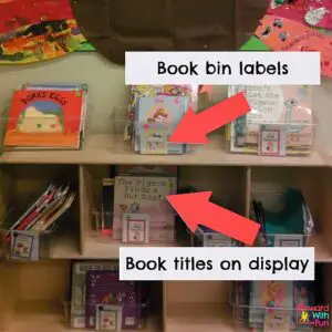 Book bins in the classroom