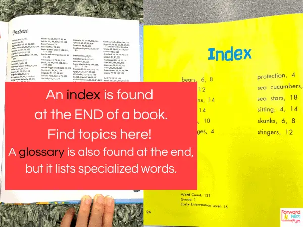 difference between index and glossary